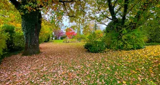 von_poll_real_estate_property_25286130_image_8