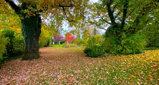 von_poll_real_estate_property_25286130_image_8