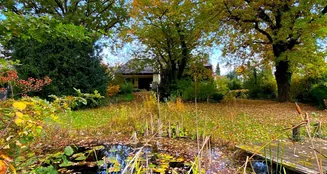 von_poll_real_estate_property_25286130_image_10