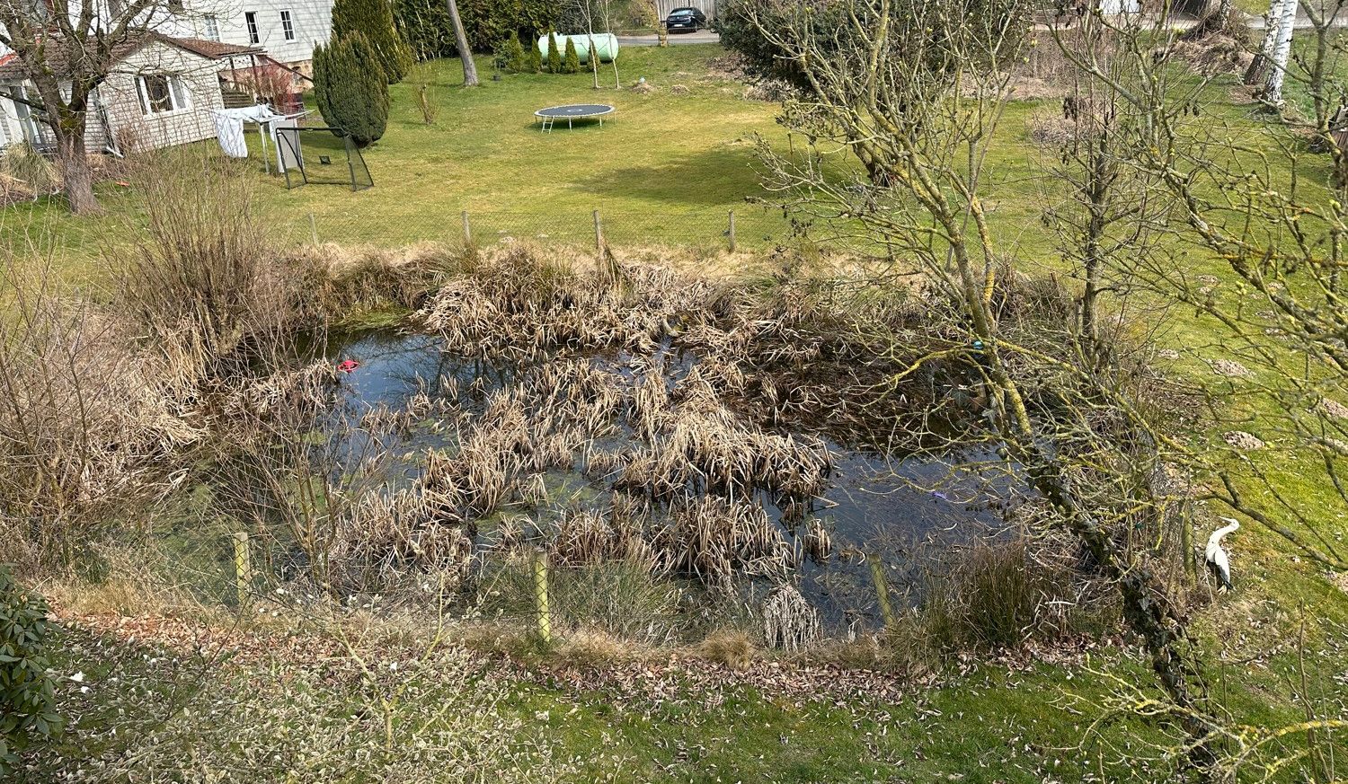 Blick in den Garten