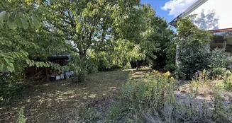 von_poll_real_estate_property_25448027_image_9