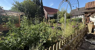 von_poll_real_estate_property_25448023_image_7