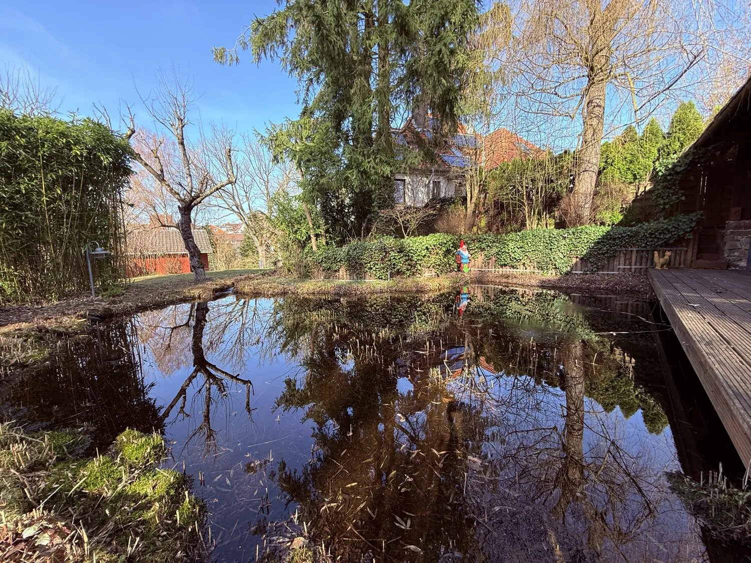 Gartenteich