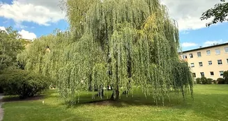 von_poll_real_estate_property_25115016_image_8