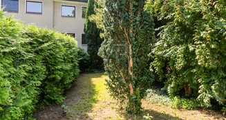 von_poll_real_estate_property_25115023_image_16