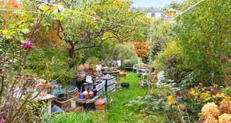 von_poll_real_estate_property_25115024_image_3