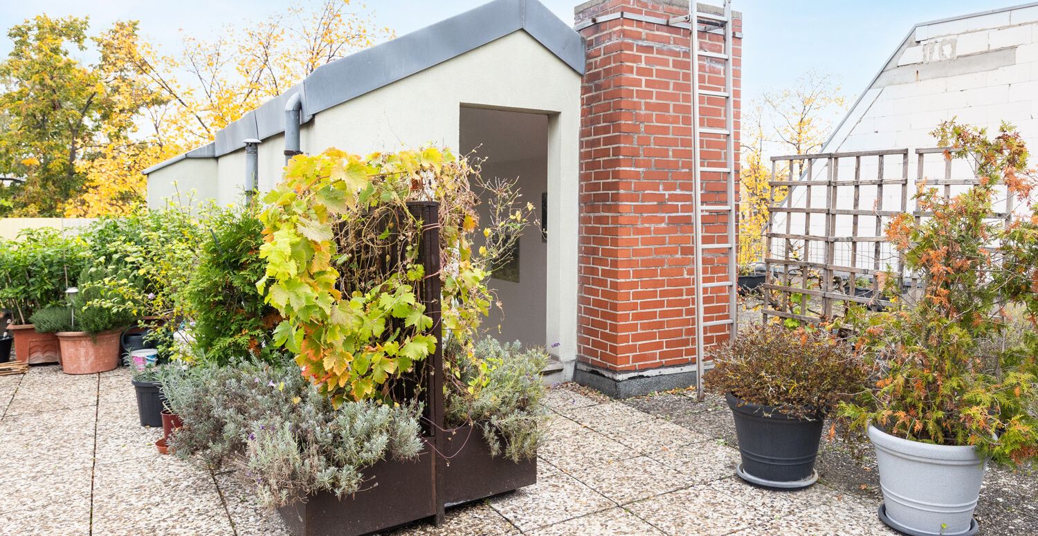 Terrassenaufgang