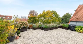 von_poll_real_estate_property_25115029_image_12