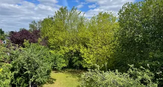 von_poll_real_estate_property_25115026-07_image_11