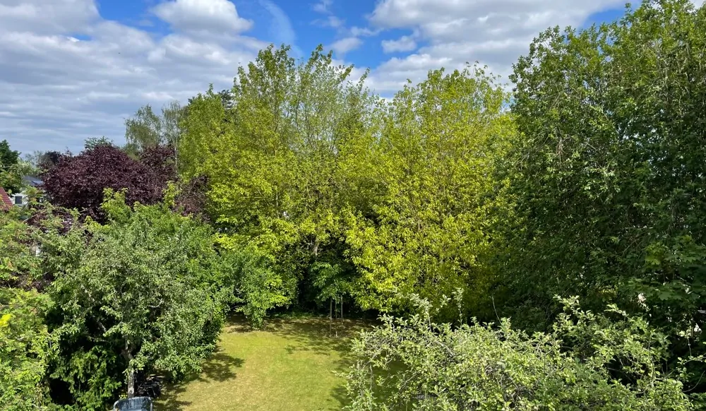 Ausblick Richtung Garten