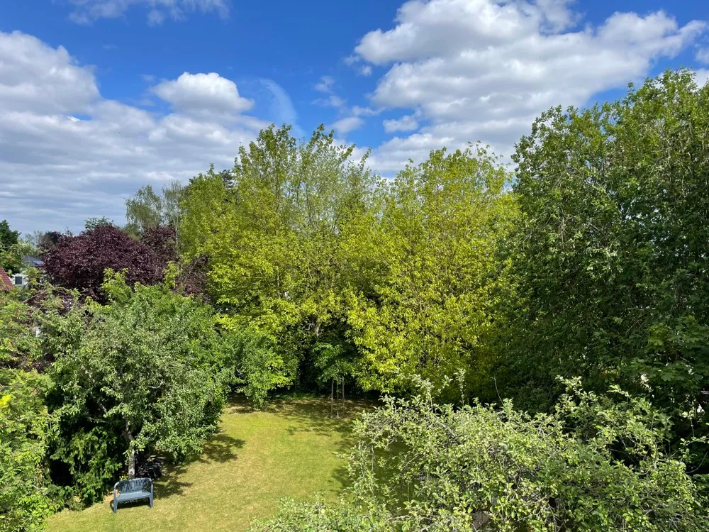 Ausblick Richtung Garten
