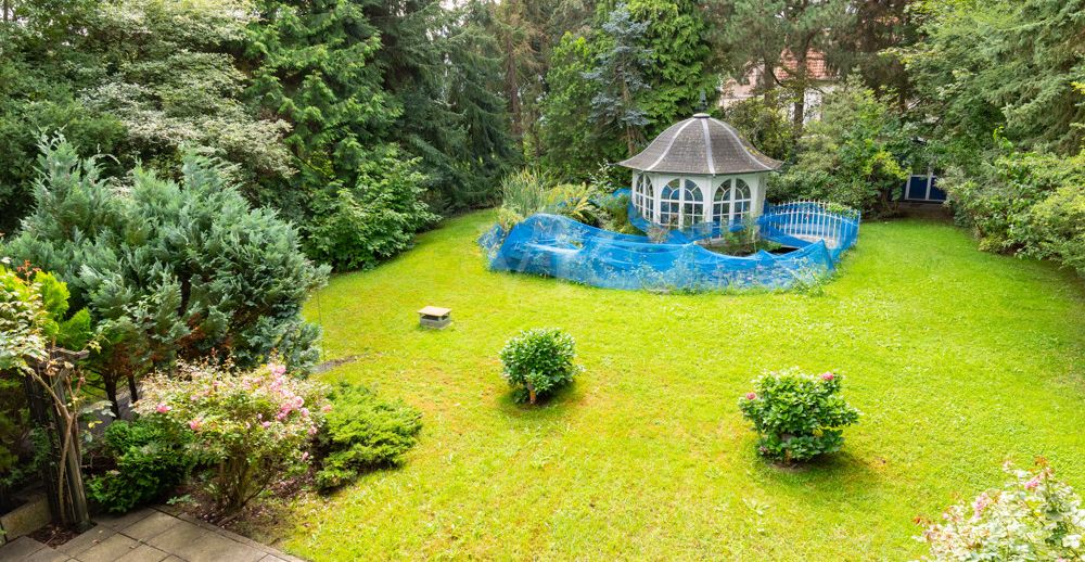 Blick in den Garten