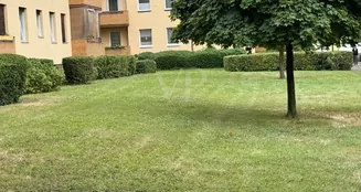 von_poll_real_estate_property_25115019_image_13