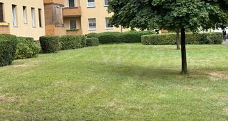 von_poll_real_estate_property_25115019_image_13