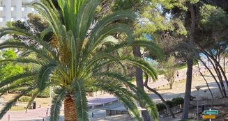 von_poll_real_estate_property_AL-6106_image_11