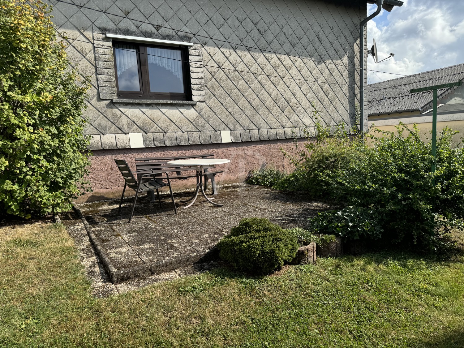 Blick in Garten (2)