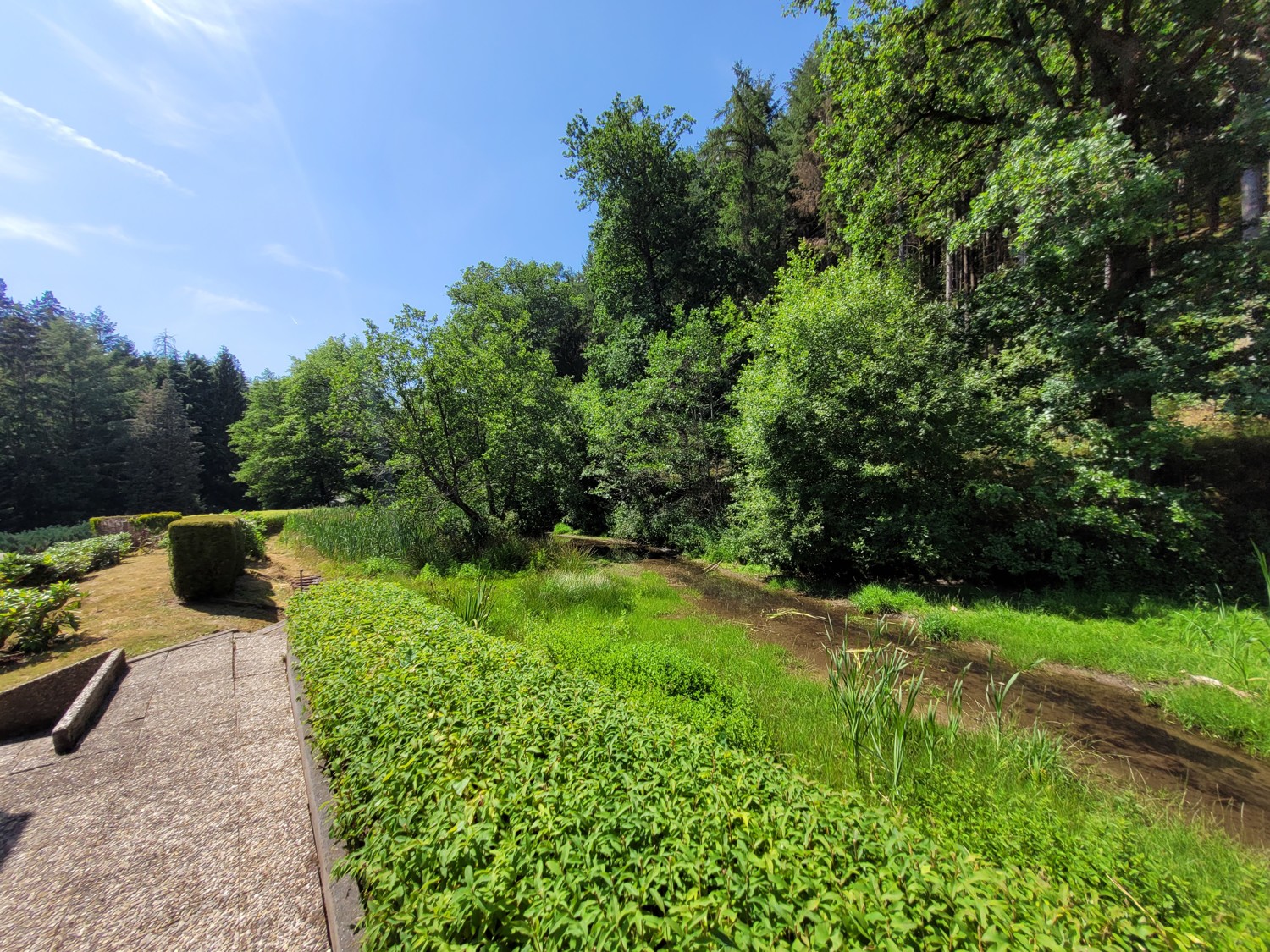 Garten hinter dem Haus (1)