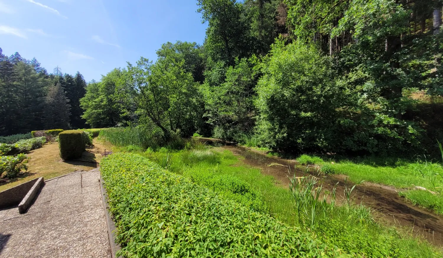Garten hinter dem Haus (1)