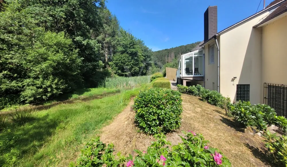 Garten hinter dem Haus (2)