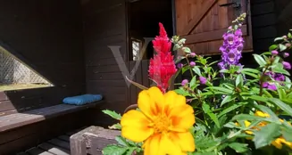 von_poll_real_estate_property_25451025_image_24