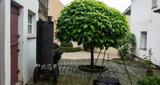 von_poll_real_estate_property_25451017_image_28