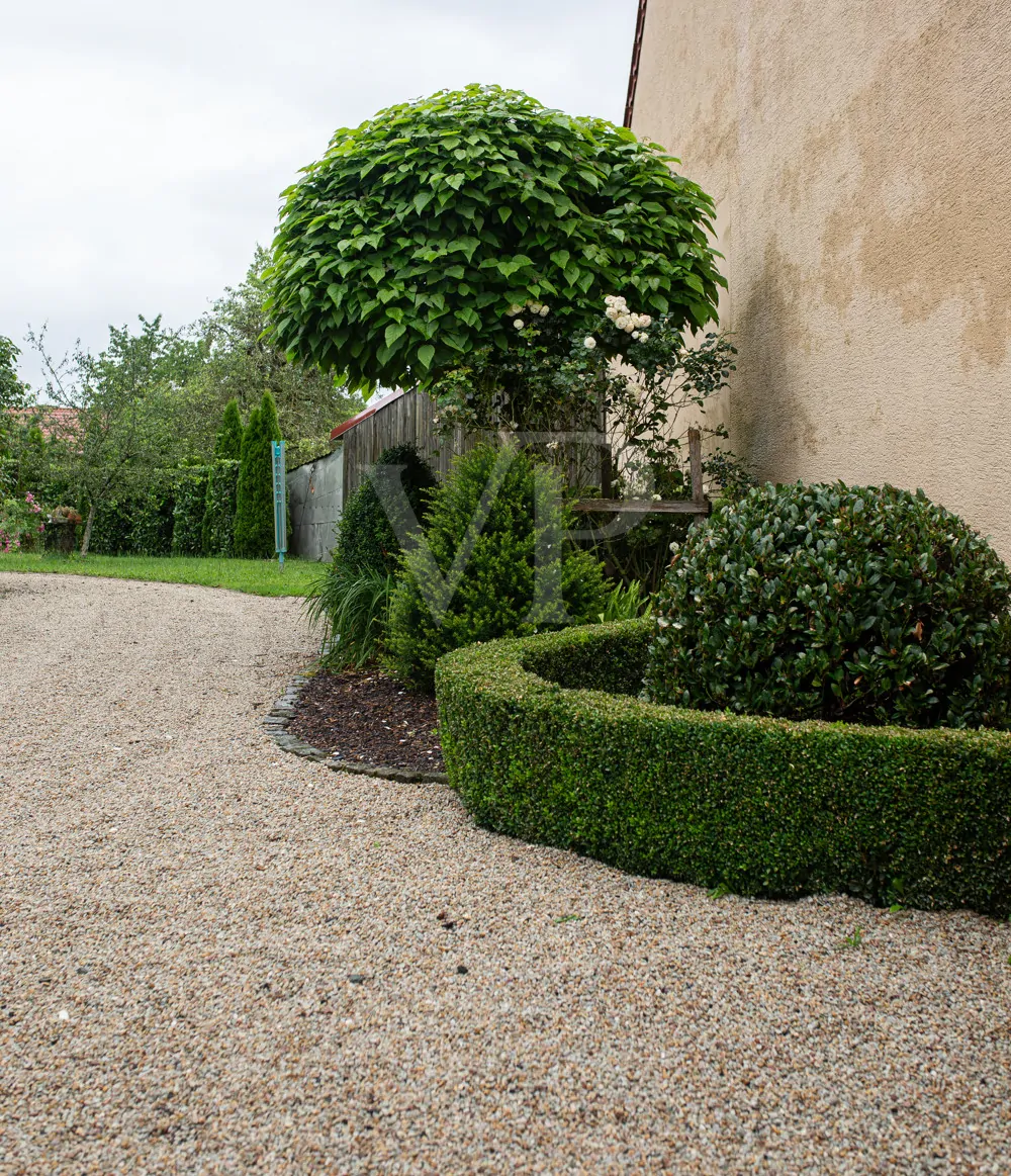 seitlicher Zugang zum Garten