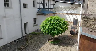 von_poll_real_estate_property_25451017_image_29