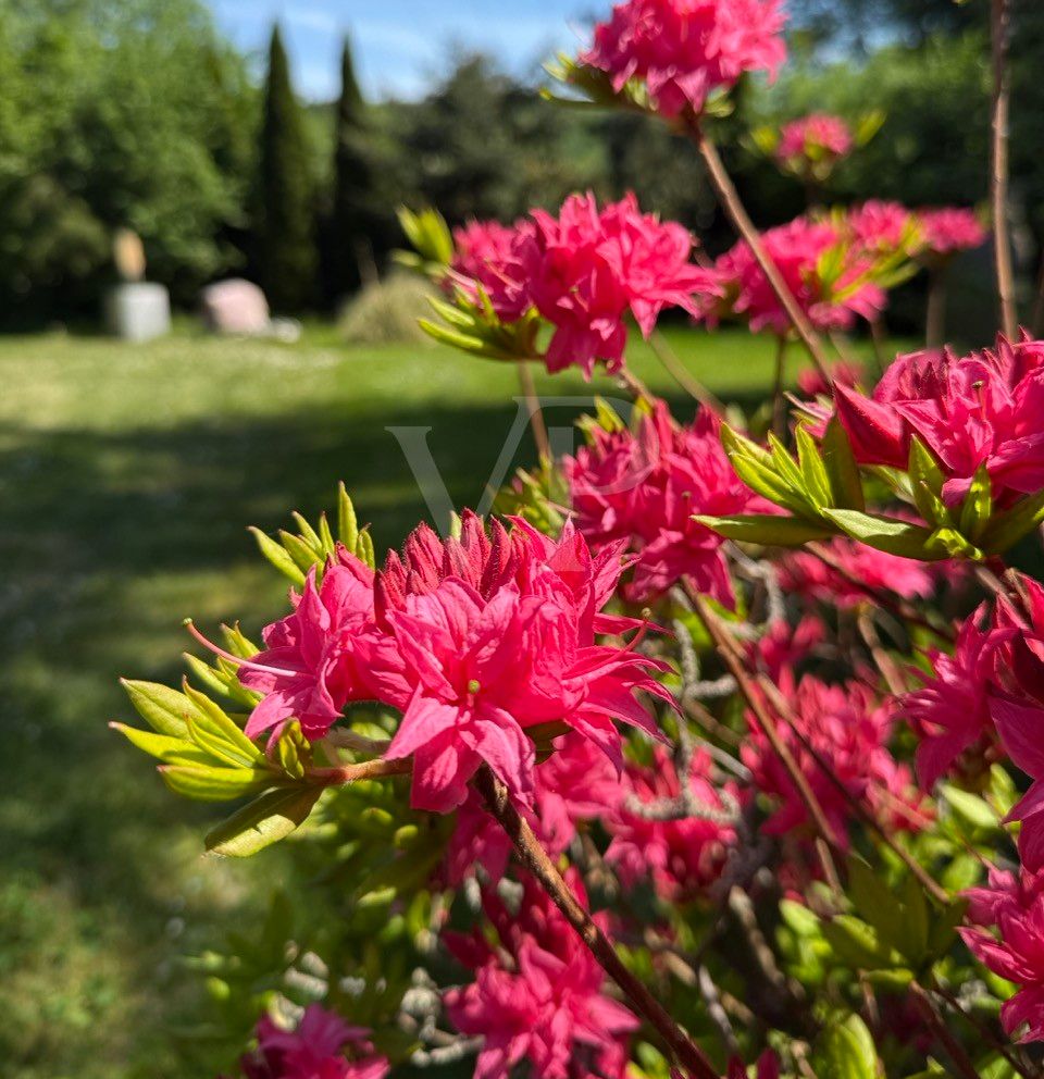 Impression Garten