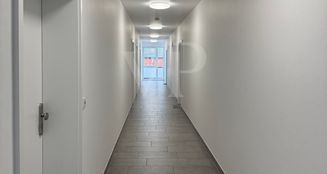 von_poll_real_estate_property_25451033_image_13