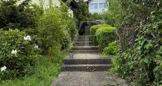 von_poll_real_estate_property_25451035_image_1