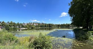 von_poll_real_estate_property_25451044_image_0