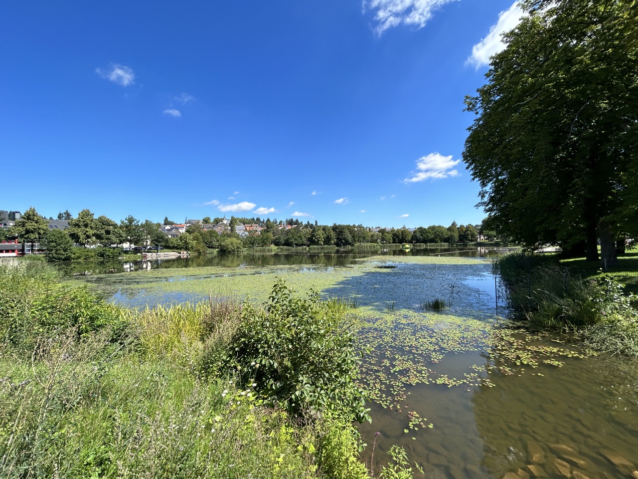 Stadtweiher