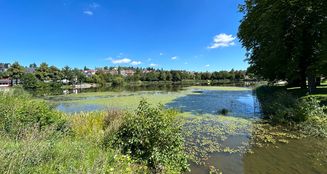 von_poll_real_estate_property_25451044_image_32
