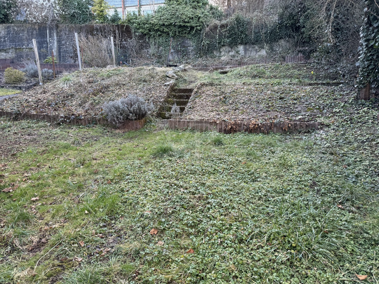 Garten (1)