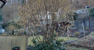 von_poll_real_estate_property_25451045_image_31