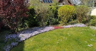 von_poll_real_estate_property_25451046_image_29