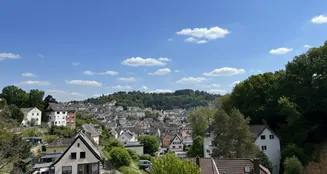 von_poll_real_estate_property_25451038_image_9