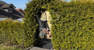 von_poll_real_estate_property_25451049_image_16
