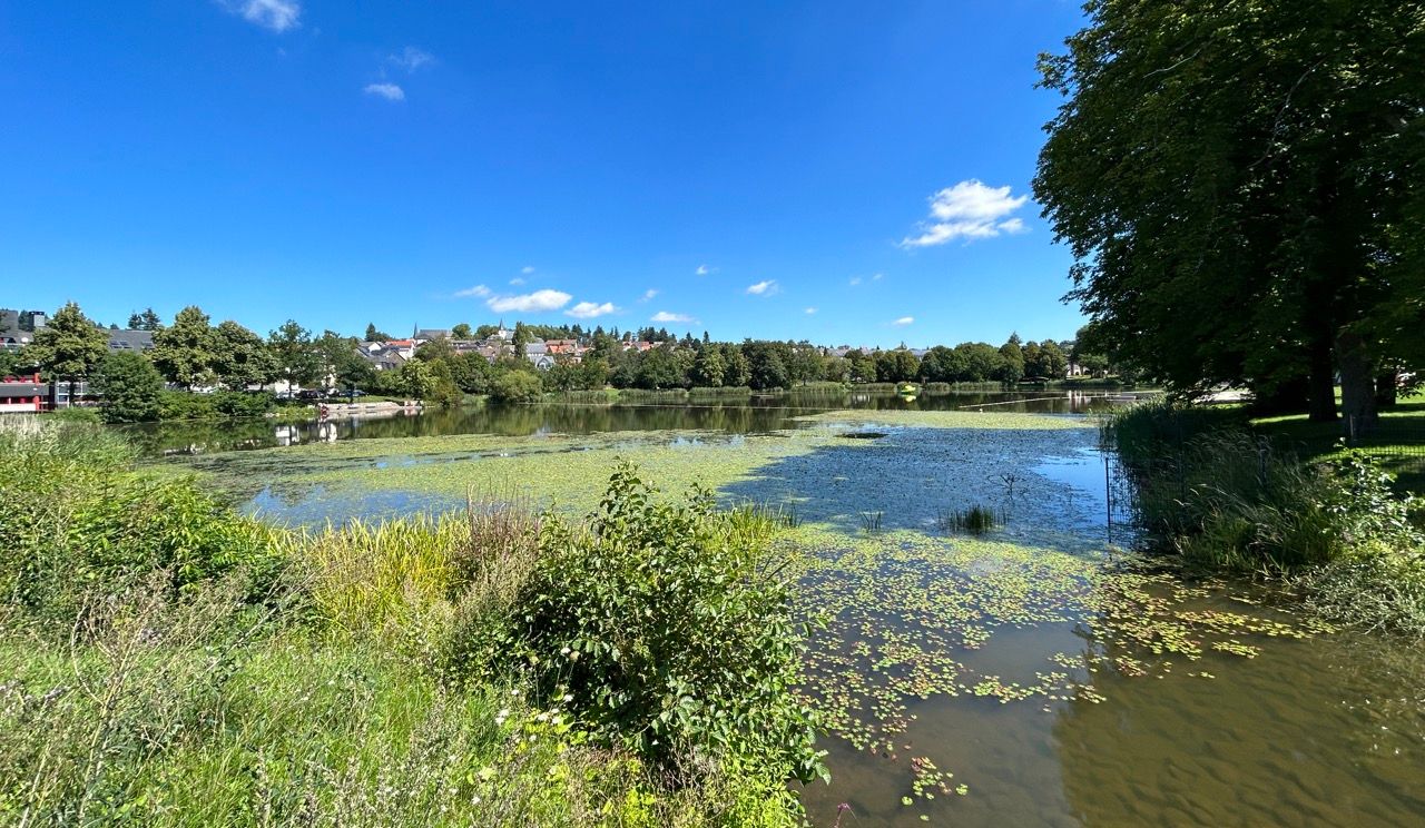 Stadtweiher Baumholder