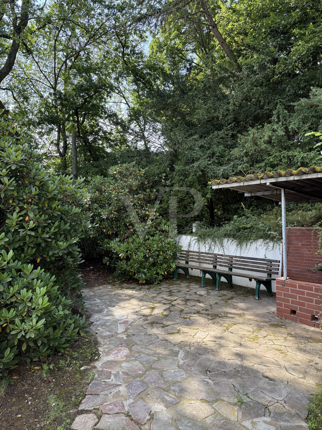 Blick in den Garten