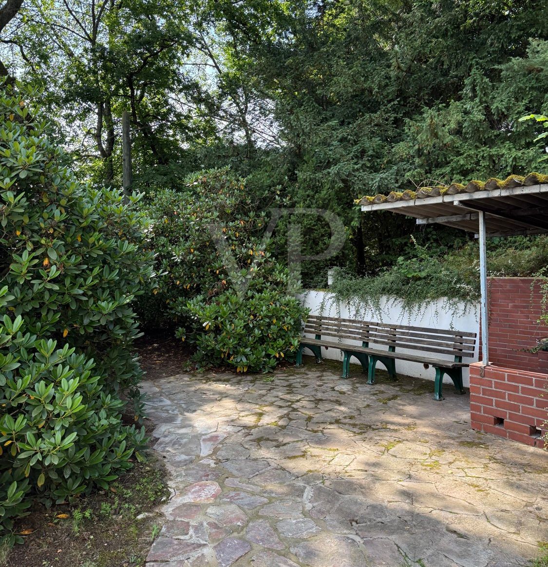Blick in den Garten