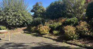 von_poll_real_estate_property_26451011_image_8