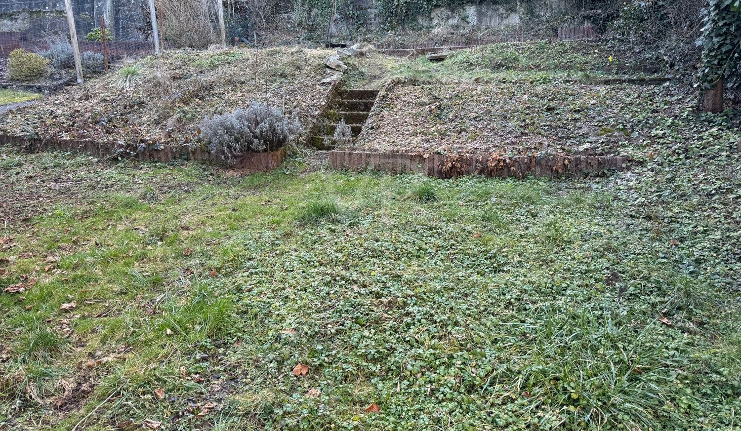 Garten (1)