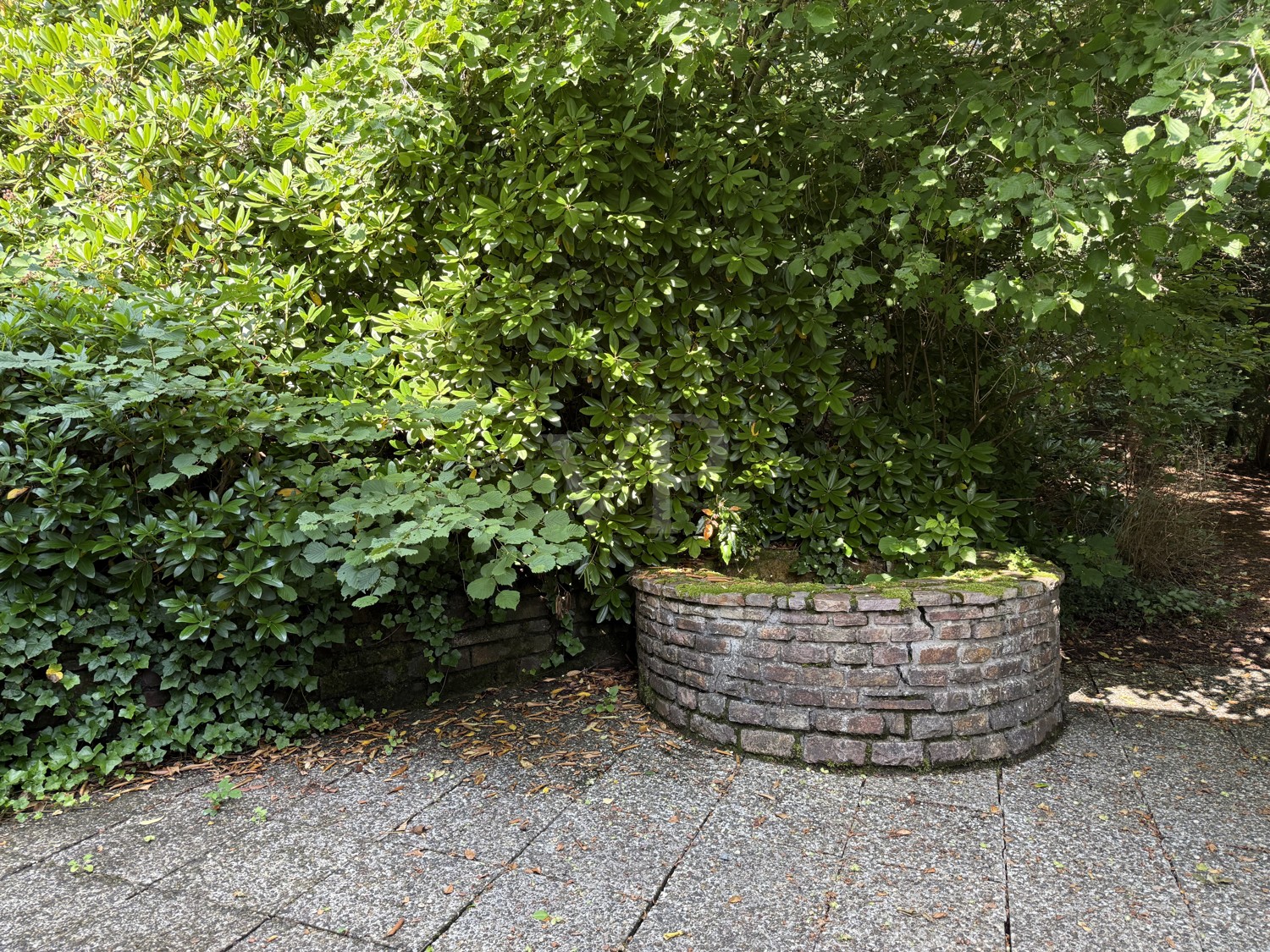 Terrasse 2