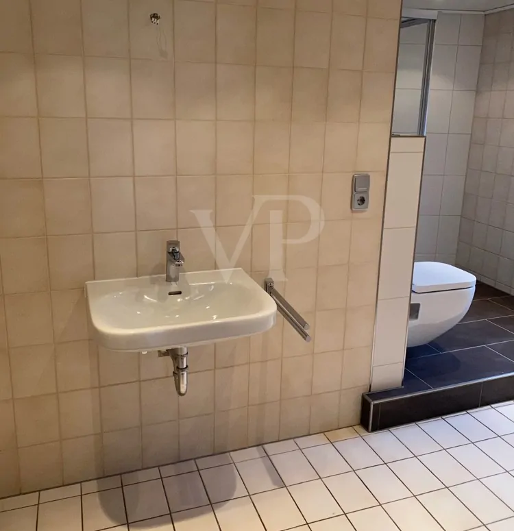 Tageslicht-Duschbad (1)