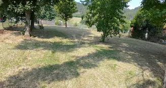 von_poll_real_estate_property_25451065_image_22