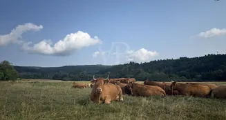 von_poll_real_estate_property_25451065_image_27