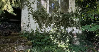 von_poll_real_estate_property_25451082_image_34