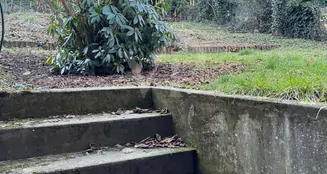 von_poll_real_estate_property_25451083_image_29