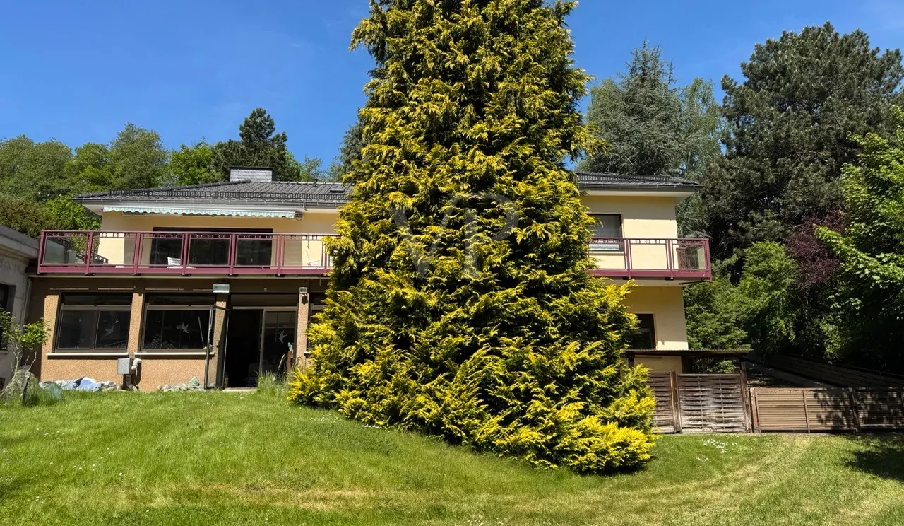 Gartenansicht im Sommer